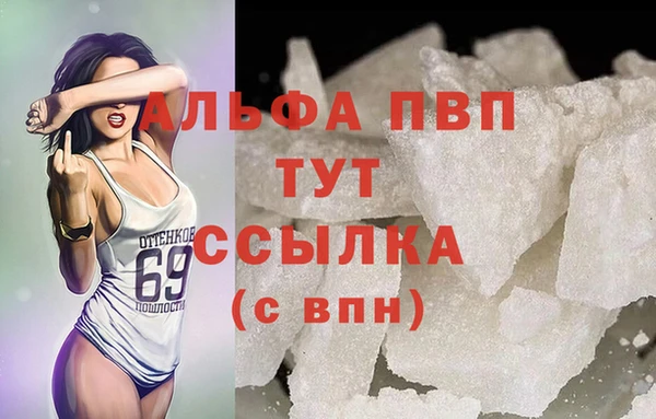 прущие крисы Корсаков