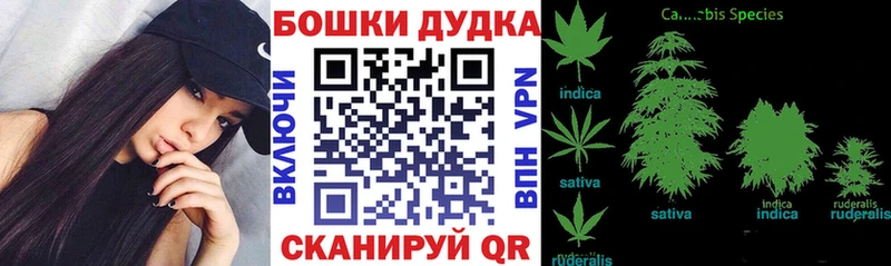 Бошки марихуана индика  дарнет шоп  Лаишево 